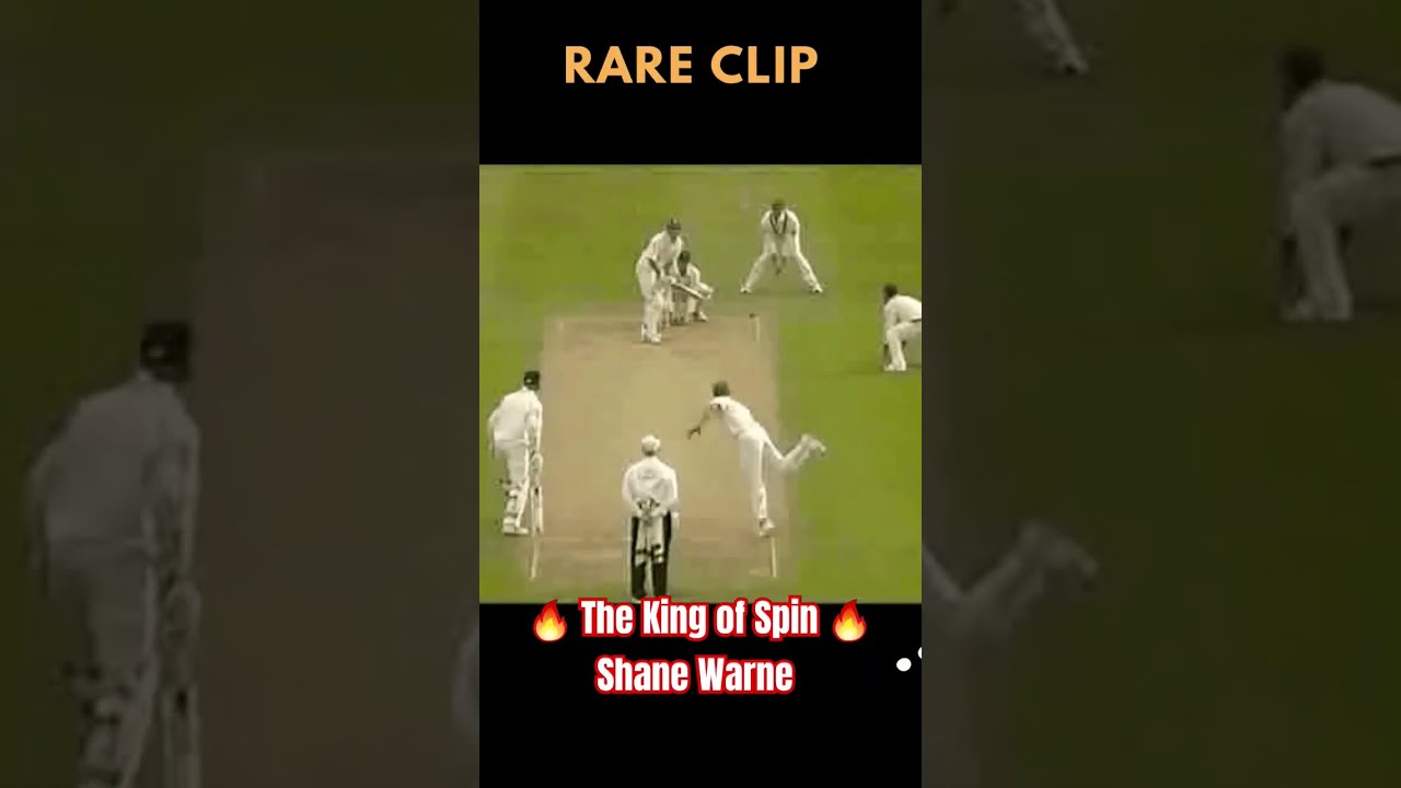 The King Of Spin A Tribute To Shane Warne Cricketshorts Shorts