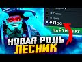 ЛЕСНОЙ ШТОРМ НОВАЯ МЕТА?! ЛЕСНАЯ ШЕСТЁРКА В ДЕЛЕ!!