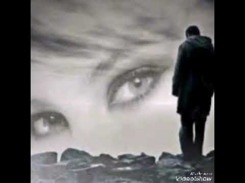 شعر شيفيد انته التحبه وصار ضدك علي شحيت