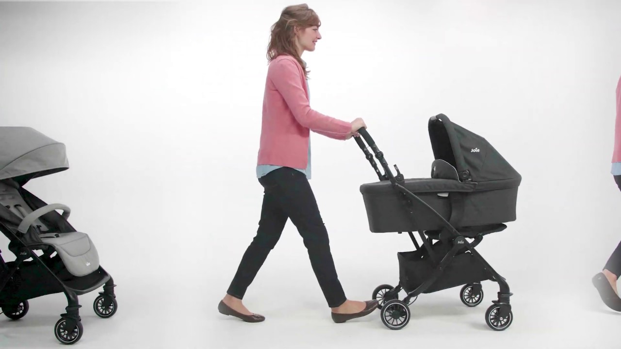 joie signature tourist