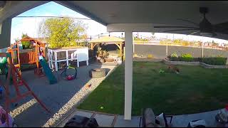 Boy rides toy car down slide and bumps head while brother plays fetch with dog (Security camera)