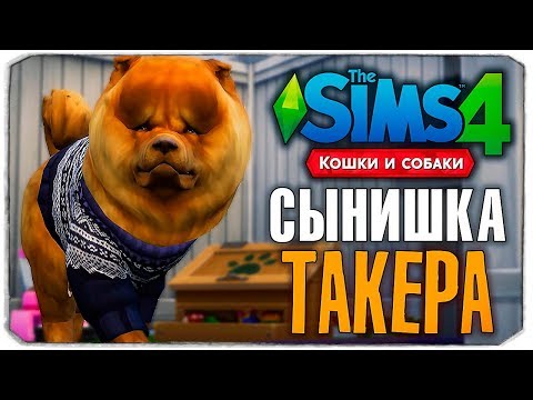 видео: СЫНИШКА ТАКЕРА - The Sims 4 "Кошки и Собаки" ▮