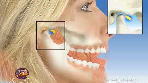 Add Without Reduction