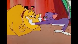 Tom And Jerry - Much Ado About Mousing
