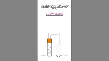 GCSE Chemistry Revision - Testing for Carbon Dioxide Gas