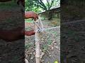 Very effective and reliable knot!Tell me if it's right.