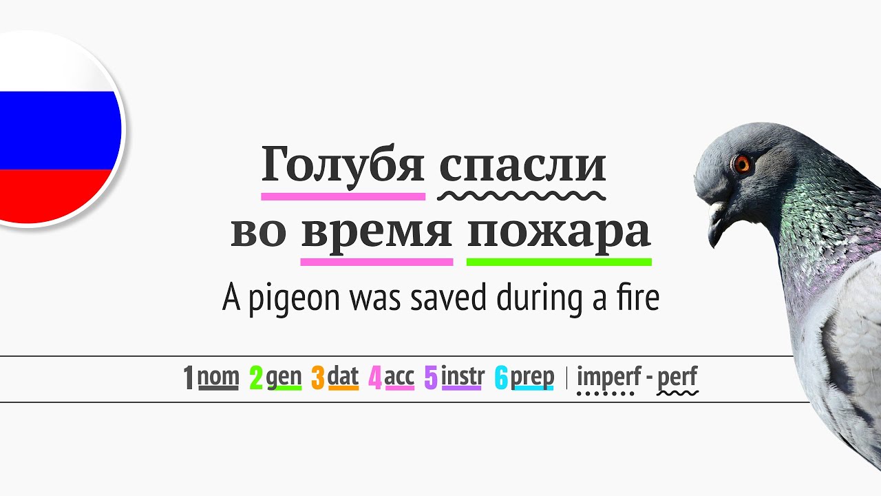 Talking in Russian and reading feel-good news ✨ Russian Listening