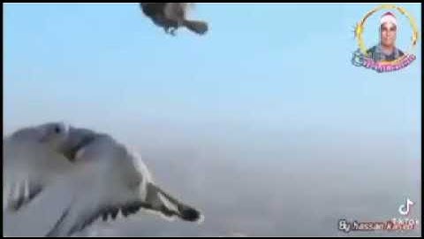 اسمع اجمل ما قراء الشيخ محمد الليثي من سورة النحل
