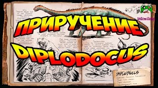 Приручение Diplodocus (Диплодока) в игре ARK Survival Evolved