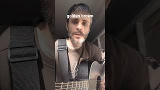 the stranglers - golden brown #thestranglers #goldenbrown #cover #guitar