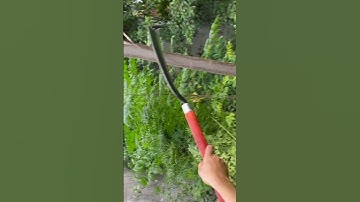 Tôi làm con dao phát rẫy bằng thép nòng súng pháp chặt cây như chặt chuối vậy thật hiếm có