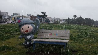 Relaxing Rain Walk | Seogwipo, Jeju | Binaural Audio, 4K