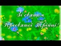 Зелена неділя. Красиве привітання з Трійцею.