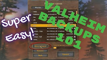Valheim Backups 101: Backup Characters and Worlds! (PC)