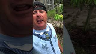 Donnie Baker Gives Breaking News about NFL Quarterback Colin Kaepernick!