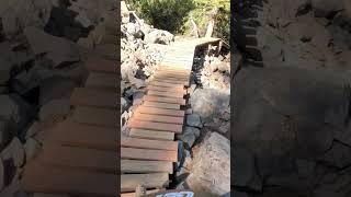 The woods at northstar ￼#mtb #biking #subscribe #downhill ￼