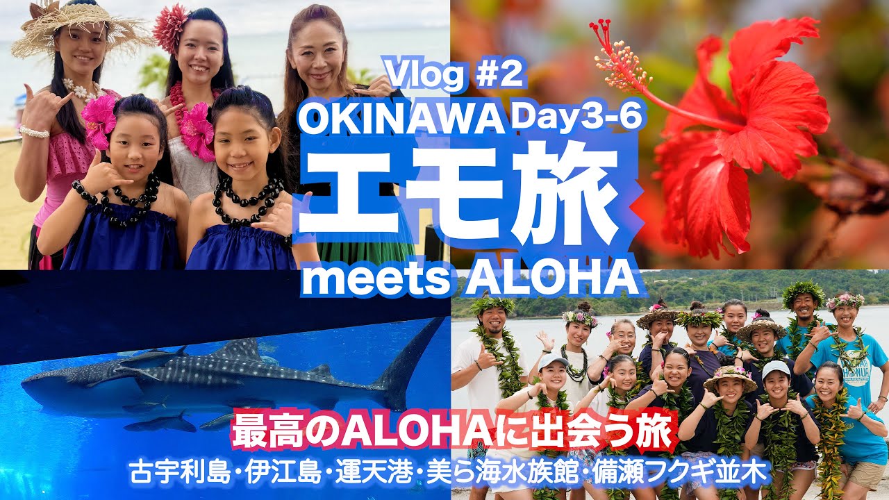 フラ撮影旅 沖縄 #2】古宇利島の駅ソラハシ・運天港ロケハン&美ら海