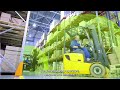 GemOne's Sapphire: Safety Management for Material Handling
