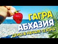 АБХАЗИЯ 🍓 Гагры Цены на рынке в начале сезона? отзыв об отдыхе в отеле "Европа"