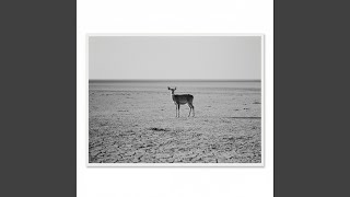 Lag sem enginn nefndi