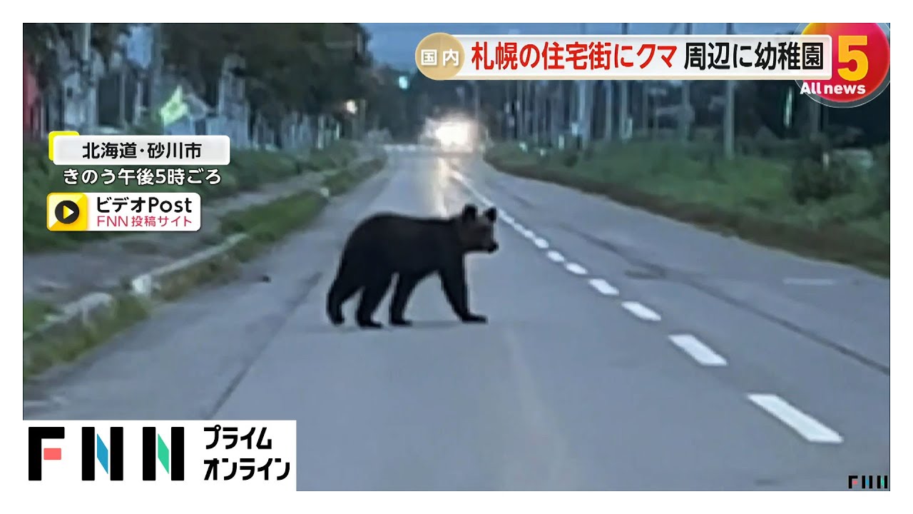 北海道・札幌市中央区の住宅街にクマ 現場周辺に幼稚園も…市と警察が