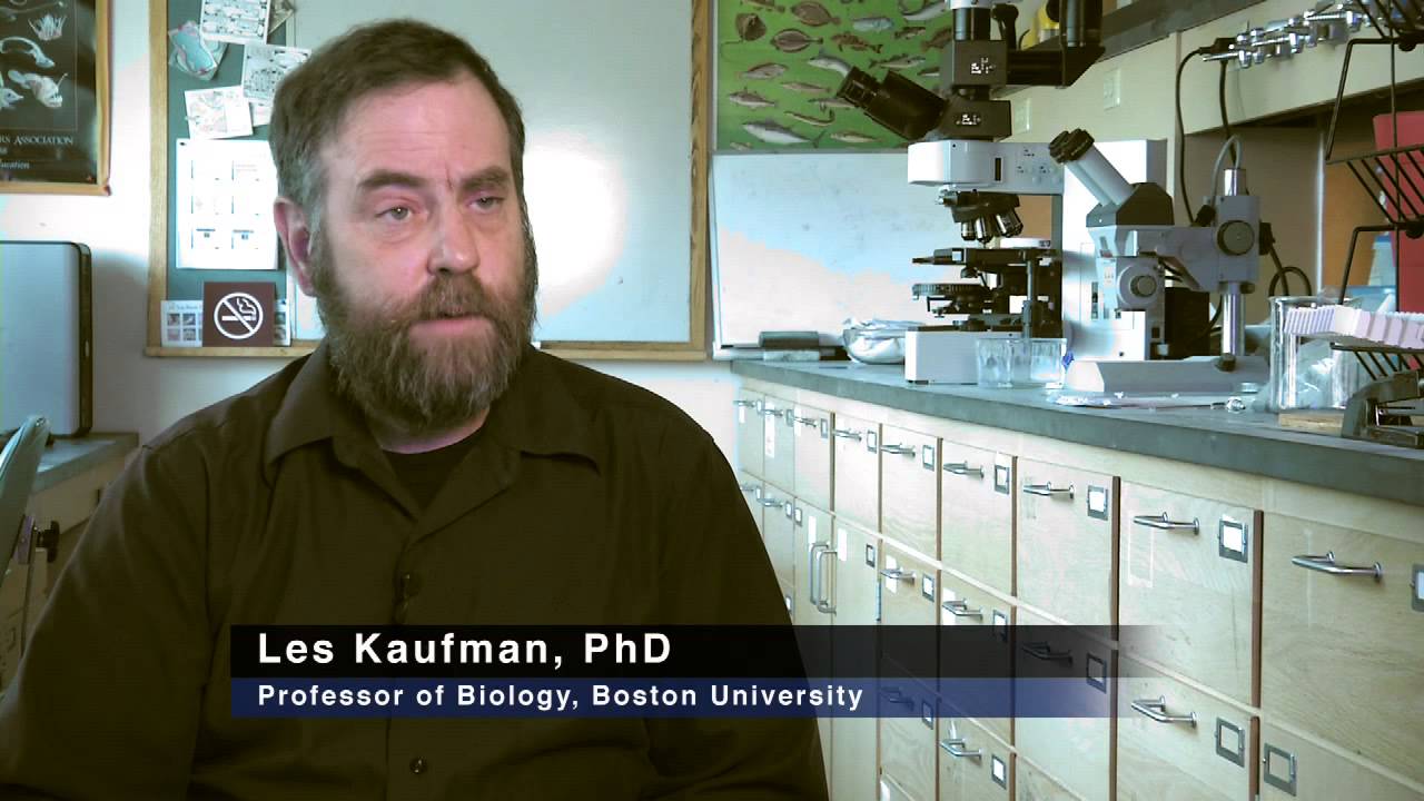 phd biology boston