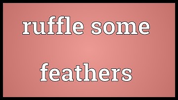 Ruffle some feathers Meaning