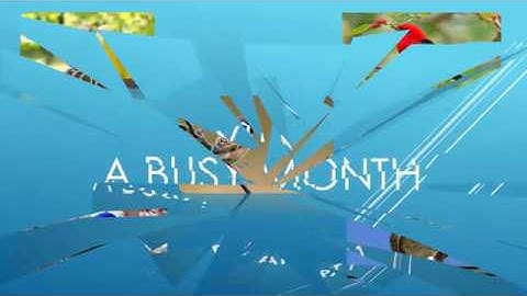 CLASS 4 - EVS - A Busy Month Part 1