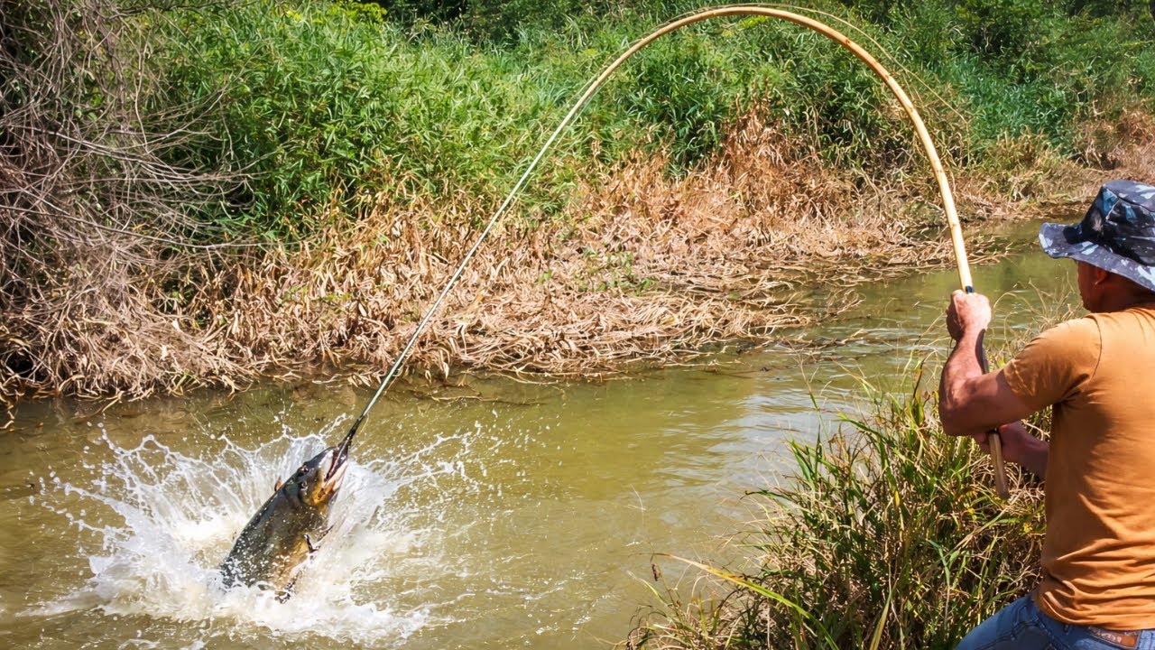 PESCARIA, NUNCA DUVIDE DE UM CORGUINHO DESSES! NESSE LUGAR NÃO PERDE VIAGEM, PESCARIA CAIPIRA.