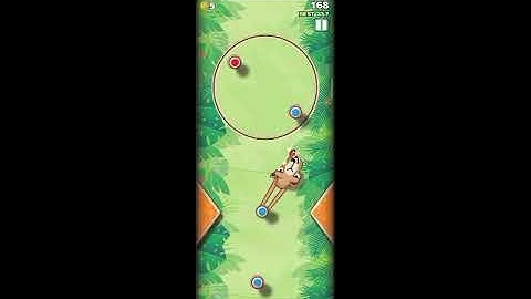 Sling kong with camel🐪