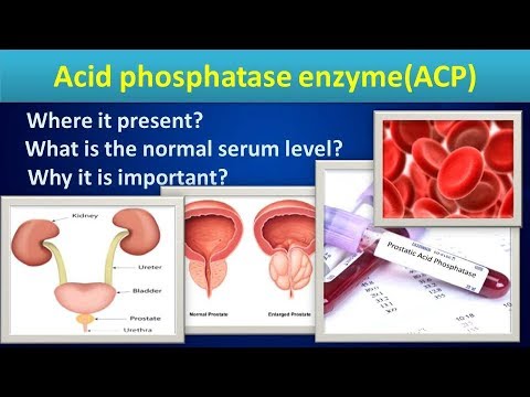 Acid phosphatase enzyme.#Acidphosphatatase#Enzyme