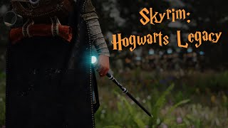 Skyrim: Hogwarts Legacy | Skyrim SE/AE | Combat Showcase | ADXP/MCO