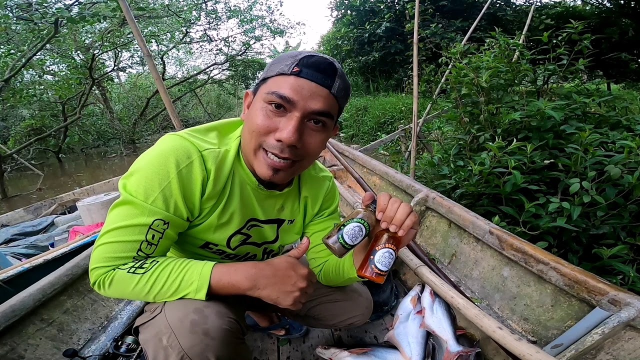 UMPAN PATI BUAH SAWIT VS PATI BUAH BEREMBANG #malaysia #indonesia #singapore #brunie