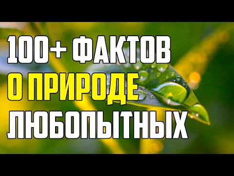 100+ ЛЮБОПЫТНЫХ ФАКТОВ О ПРИРОДЕ