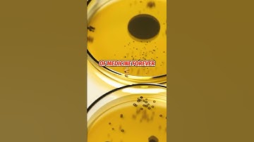 Science is Awesome! Bacteria-killing mold. 🍄