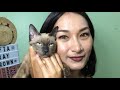 Sofia gray and brown colored contact lenses I Bbbeautycontacts
