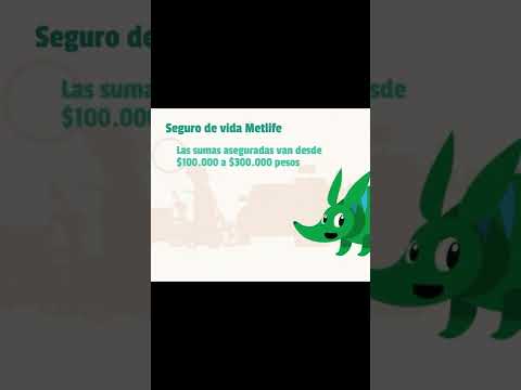 Seguro de Vida