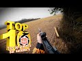 Top 10 rves de chasse n15  janvier 2024  edition spciale tirs de snipers sur sangliers