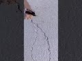 This is one way to patch cracked cement, done by an expert.#trending