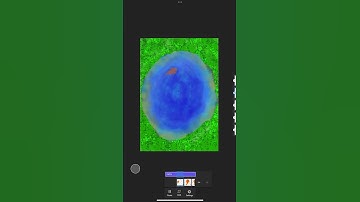 Trying adobe fresco for the first time #art #digitalart #adobefresco #cute #animation #fishing