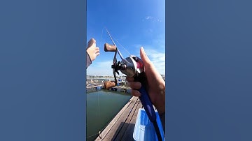 Thiên đường câu cá côn đảo