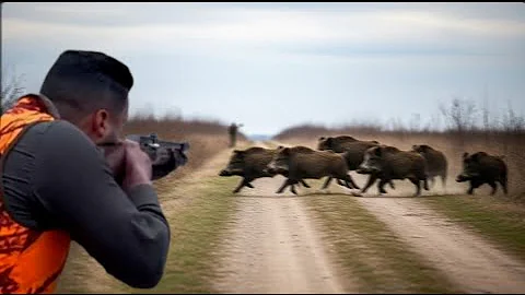 Top 10 Wild Boar Herd Ambushes – Real Hunting Footage!-PART 2
