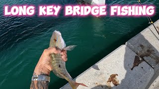 Long Key Bridge Fishing by 305 Florida Boy 750 views 3 months ago 15 minutes