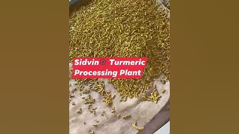 Sidvin® Destoner®© Trials TURMERIC  GRADING