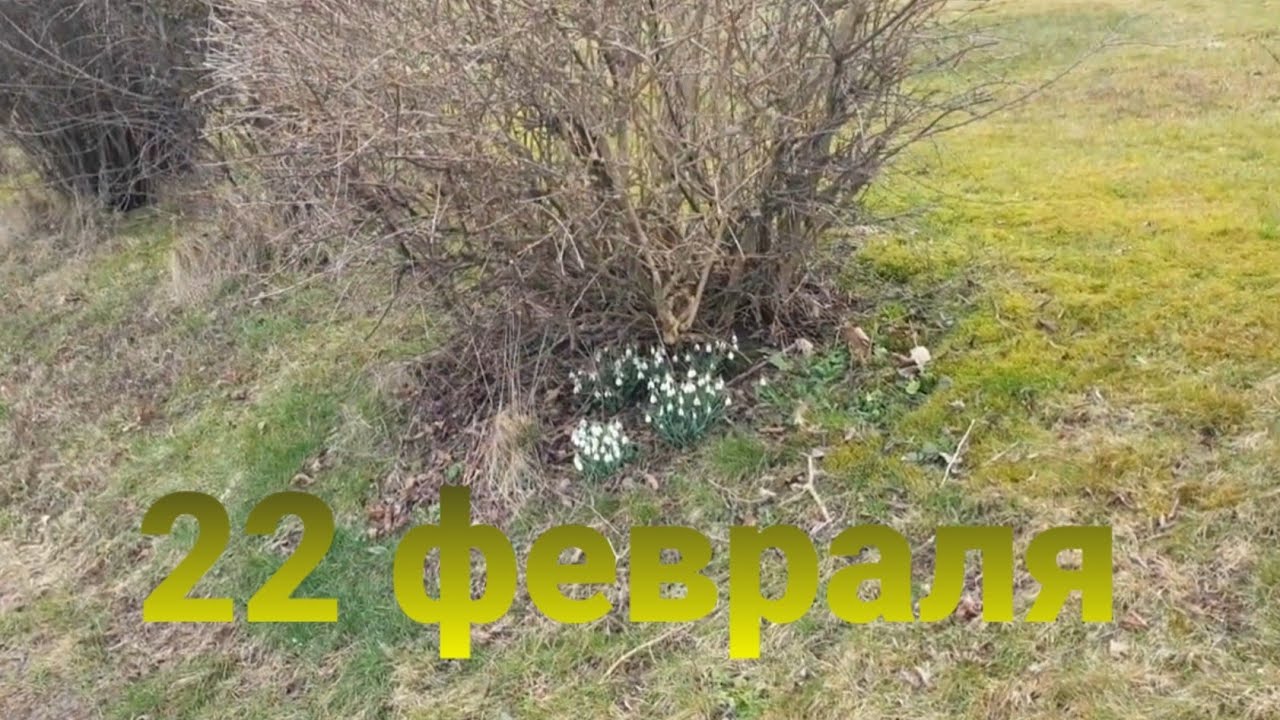 ПРОГУЛКА В ОДИНОЧЕСТВЕ 🐈 ГЕРМАНИЯ ❤ 