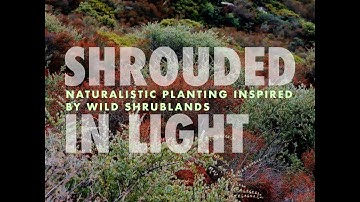 Shrub Communities: Nature