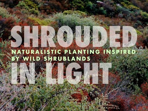 Kevin Williams and Michael Guidi  talk shrub and scrub