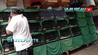 PAGI CERIA BERSAMA GRAHA MBRK PAGI CERIA BERSAMA GRAHA MBRK
