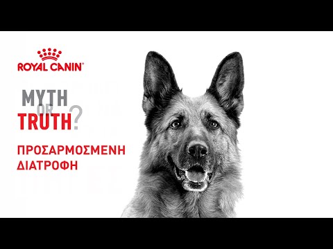 Royal Canin -