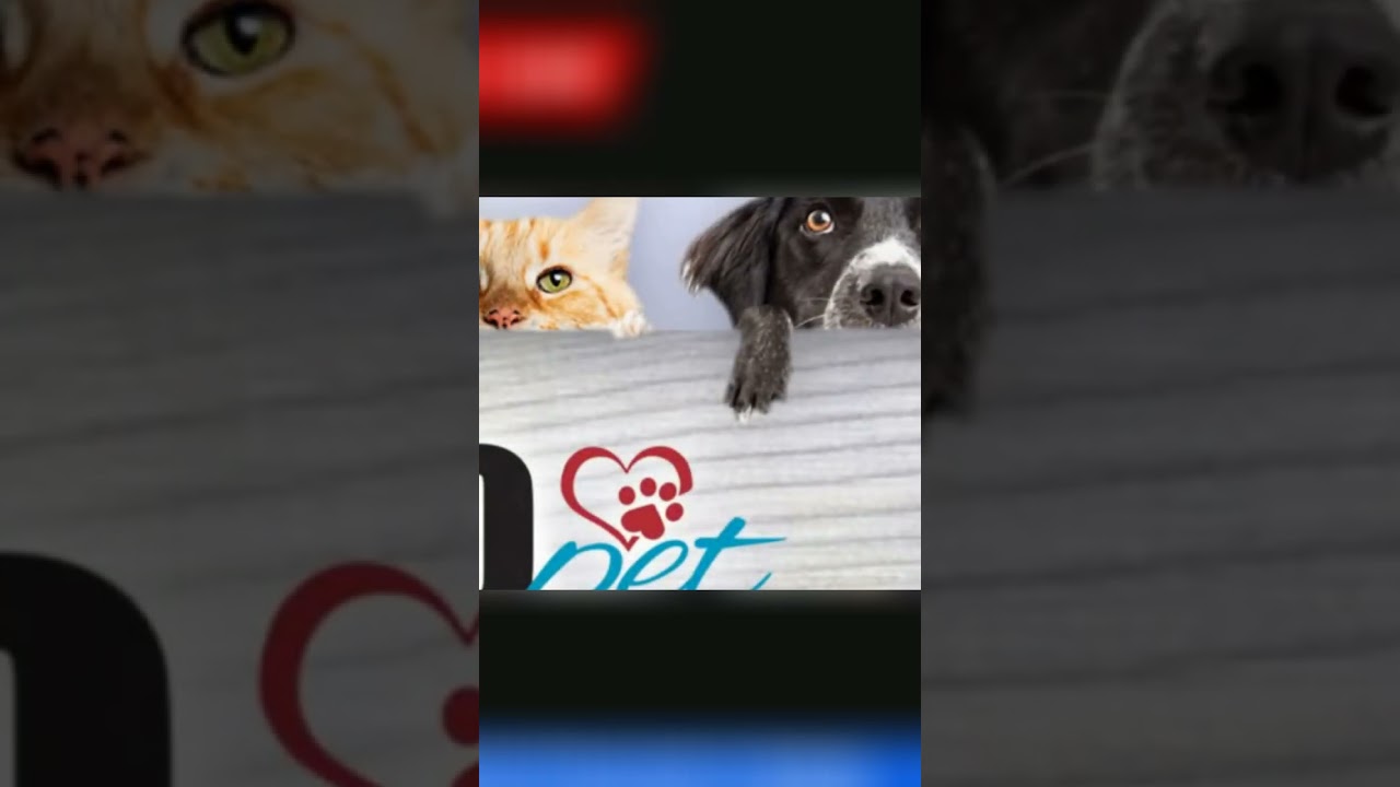 MyPaleoPet: natural diets that can improve pet health